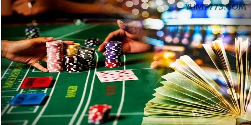 Central de dúvidas rápidas sobre o app yum777